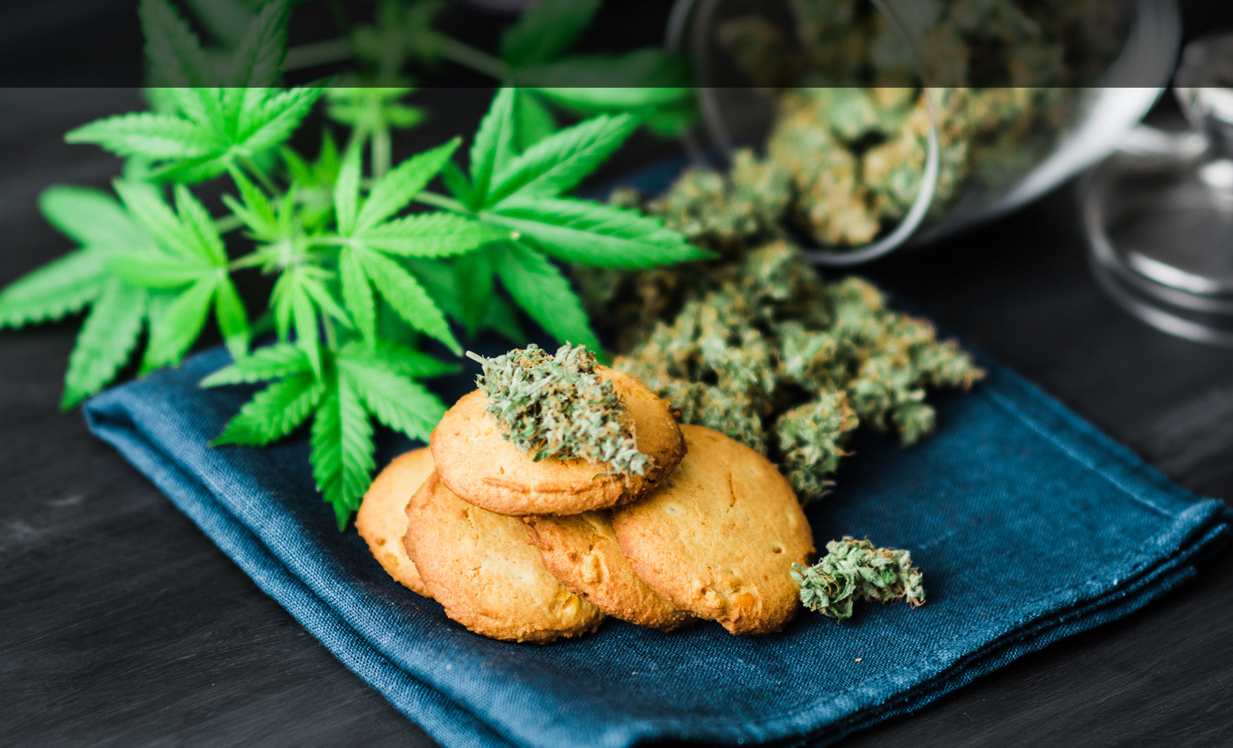 Baked Betty's Edibles Baked Betty's Edibles